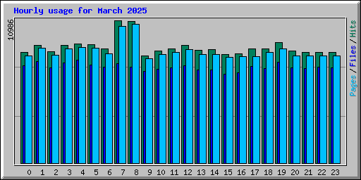 Hourly usage for March 2025