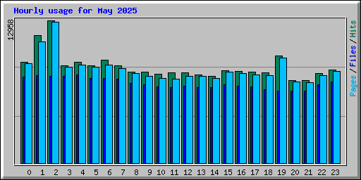Hourly usage for May 2025
