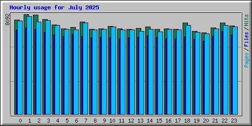 Hourly usage for July 2025